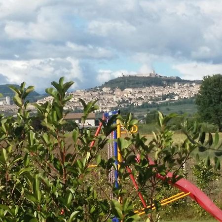 B&B La Gioiosa Assisi Dış mekan fotoğraf