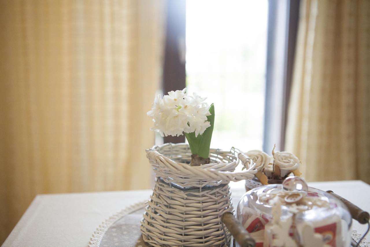 B&B La Gioiosa Assisi Dış mekan fotoğraf
