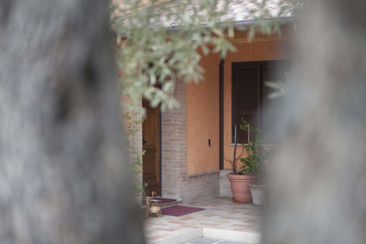 B&B La Gioiosa Assisi Dış mekan fotoğraf