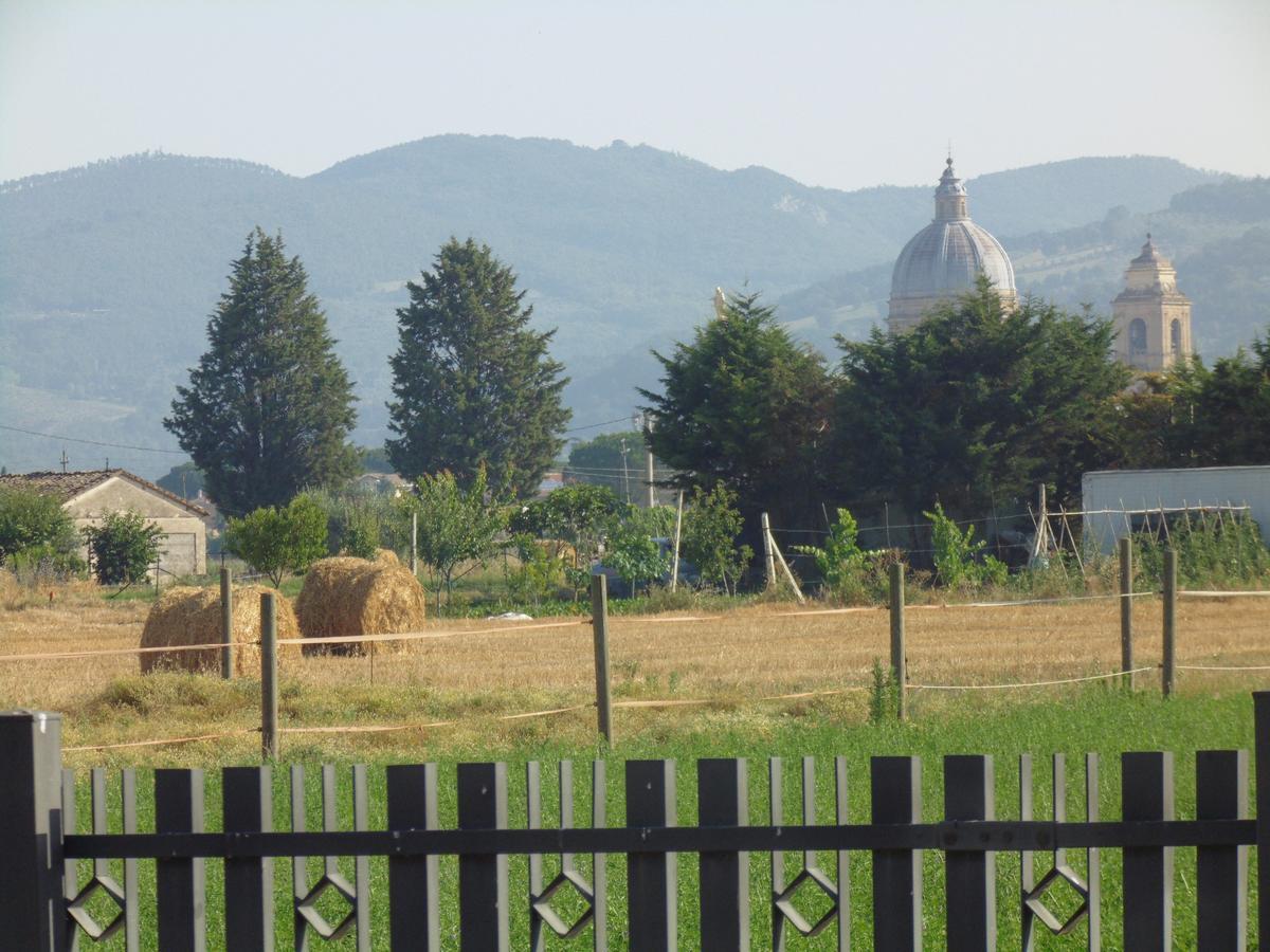 B&B La Gioiosa Assisi Dış mekan fotoğraf